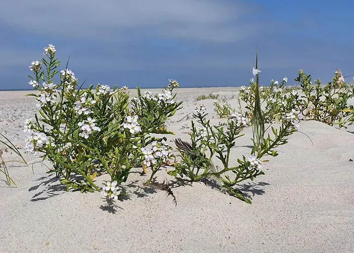 Дом отдыха 6 Person In